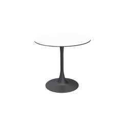 Mesa para jardín cervecero Arioso con tablero HPL