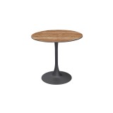 Mesa para jardín cervecero Arioso con tablero HPL