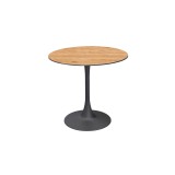 Mesa para jardín cervecero Arioso con tablero HPL